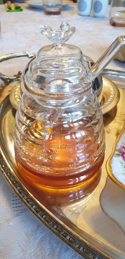 La Tour Noble Bed and Breakfast Saint-Saturnin  Buitenkant foto